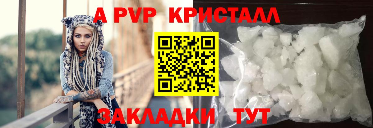 A PVP СК Зеленогорск
