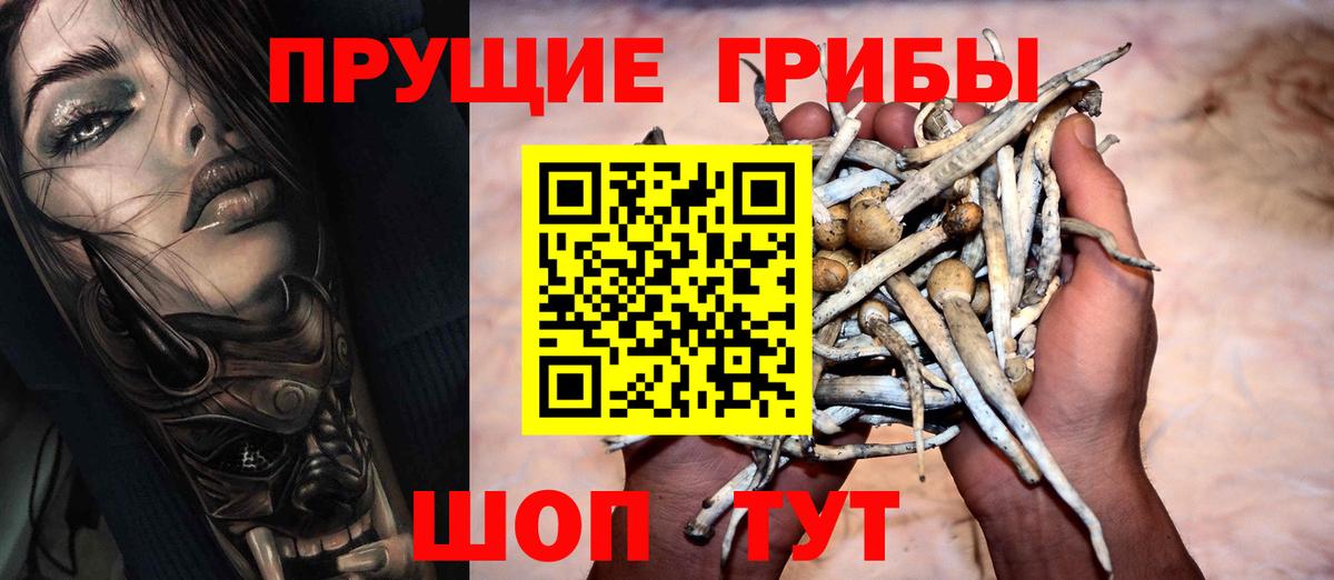 Галлюциногенные грибы мицелий  Вход с VPN  Зеленогорск 